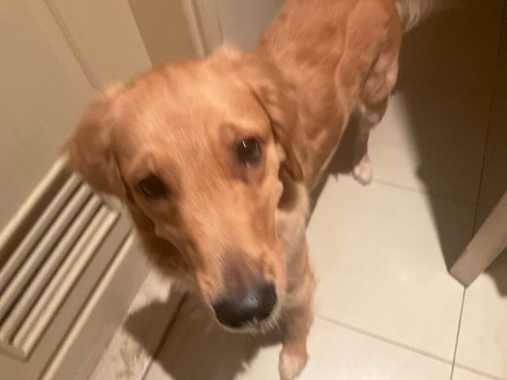 Image #1 from Ella R.